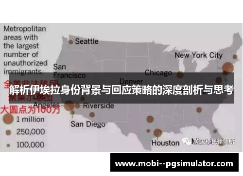 解析伊埃拉身份背景与回应策略的深度剖析与思考