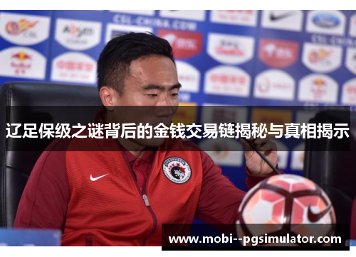 辽足保级之谜背后的金钱交易链揭秘与真相揭示